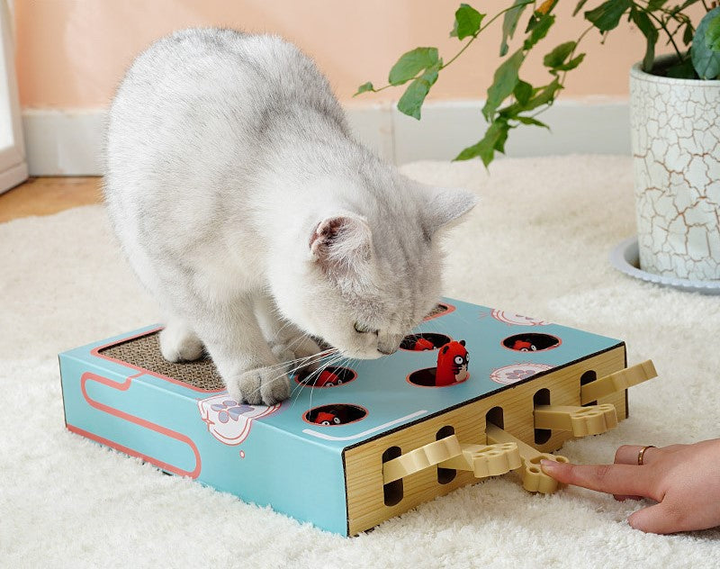 Cat Whack-a-mole Toy