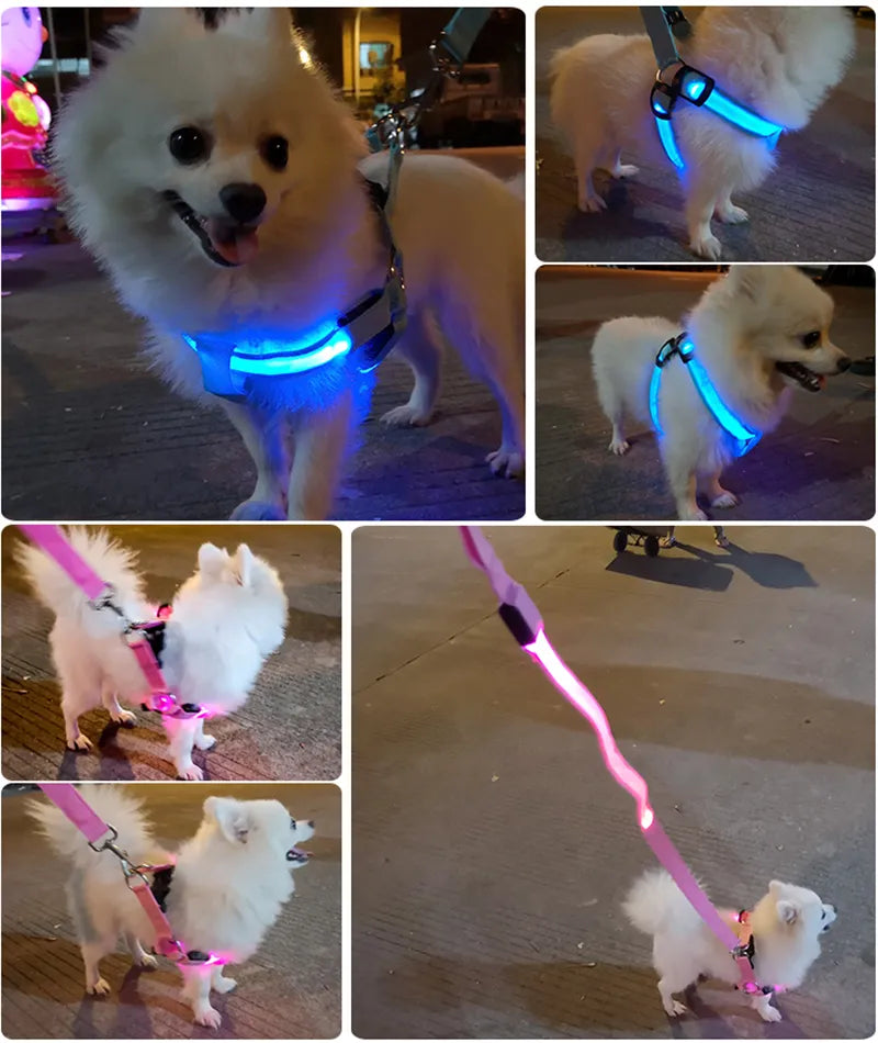 LED Dog Harness