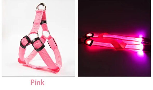 LED Dog Harness