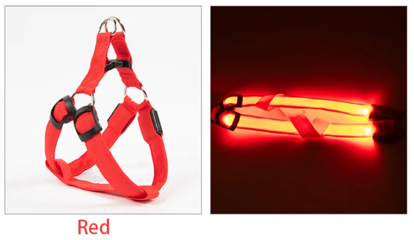 LED Dog Harness